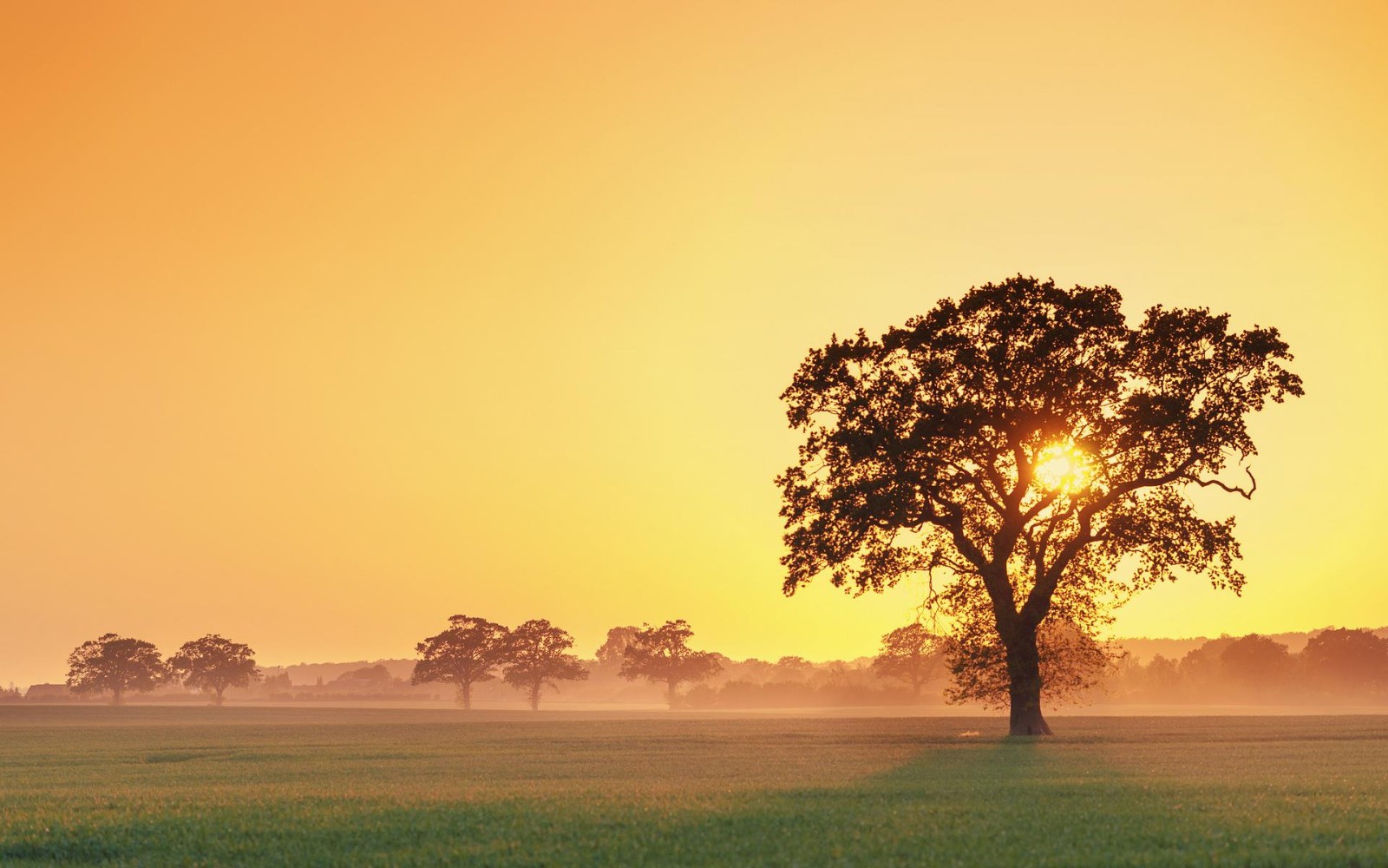 /Upload/Product/963873a3ec8e4d568060600032c24cac.jpg?width=272&height=203&bgcolor=fff