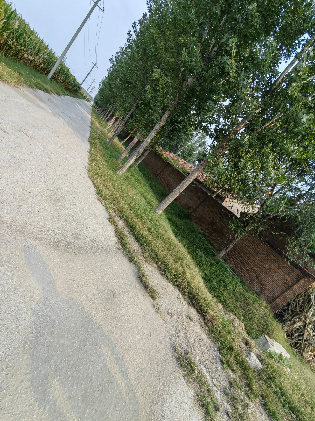 /Upload/Product/97e4e838850c491991dca9fd07133bb2.jpg?width=272&height=203&bgcolor=fff