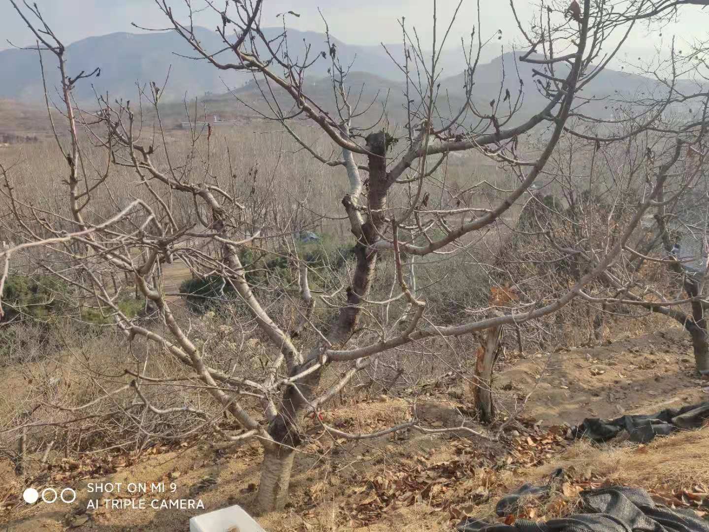 /Upload/Product/999a17aa17b14719bfaf1468f5d3b835.jpg?width=272&height=203&bgcolor=fff