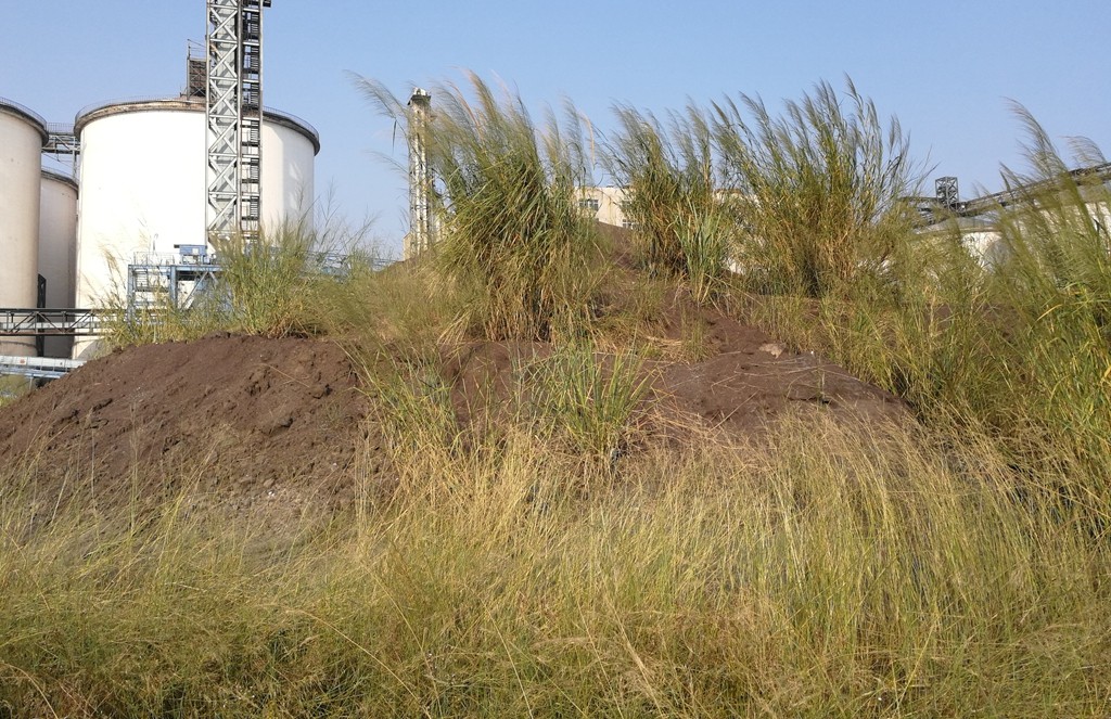 /Upload/Product/9a9a292113874f1984babfaa7d807039.jpg?width=272&height=203&bgcolor=fff