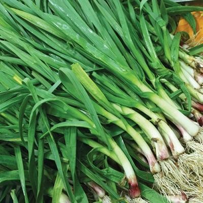 /Upload/Product/9b3bbc0888374d3691638c87df704640.jpg?width=200&height=148&bgcolor=fff