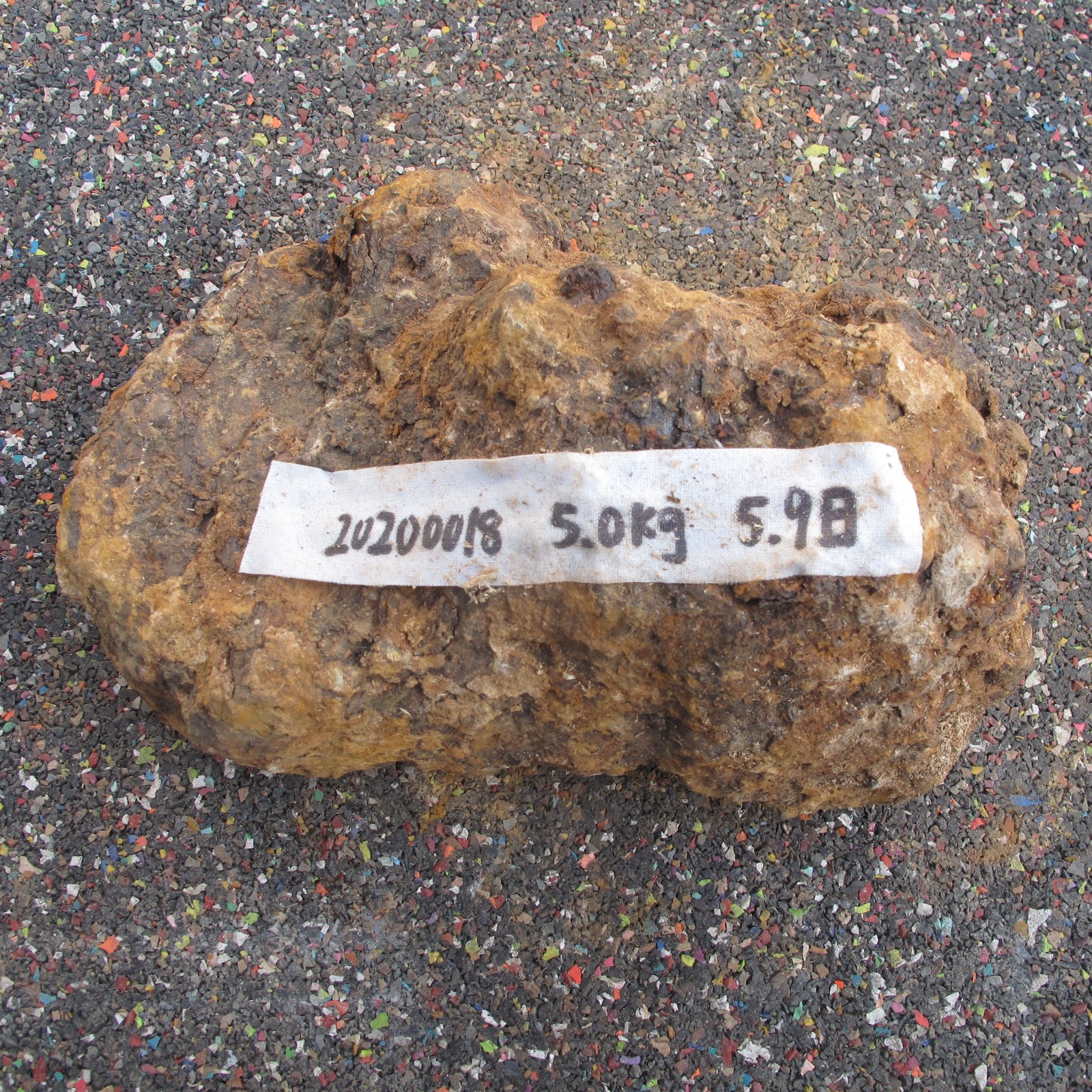 /Upload/Product/9b7ba8600757431898b2fa50c9adc27c.JPG?width=272&height=203&bgcolor=fff