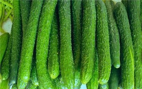 /Upload/Product/9bd7206aaef349cf8d2dd5b001de7886.jpg?width=200&height=148&bgcolor=fff