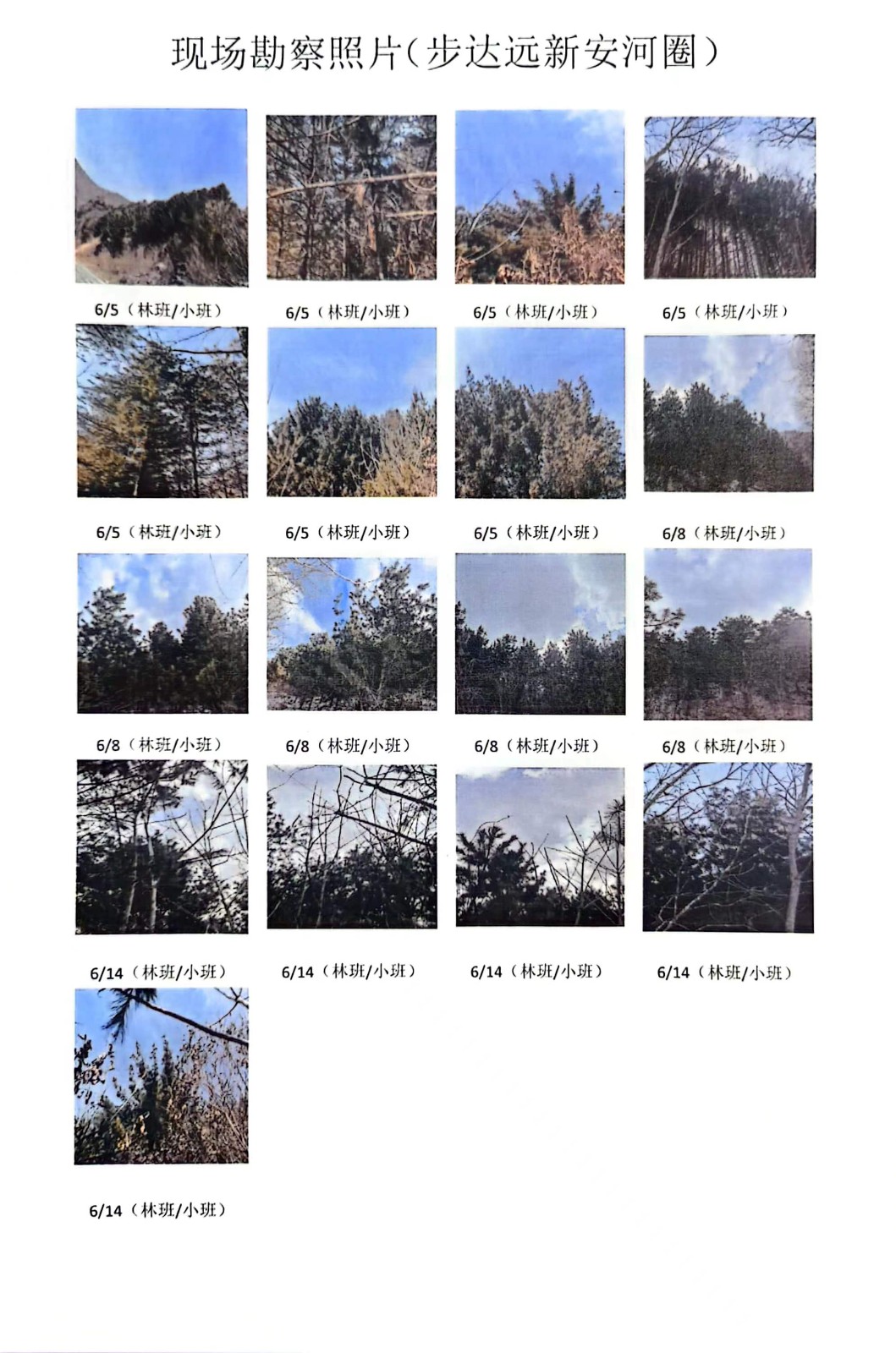 /Upload/Product/9fce224d79404c1d88c55c6aaa8d981f.jpg?width=272&height=203&bgcolor=fff