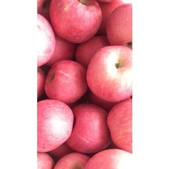 /Upload/Product/a493140951ea4ebdbf75db984031507a.jpg?width=272&height=203&bgcolor=fff