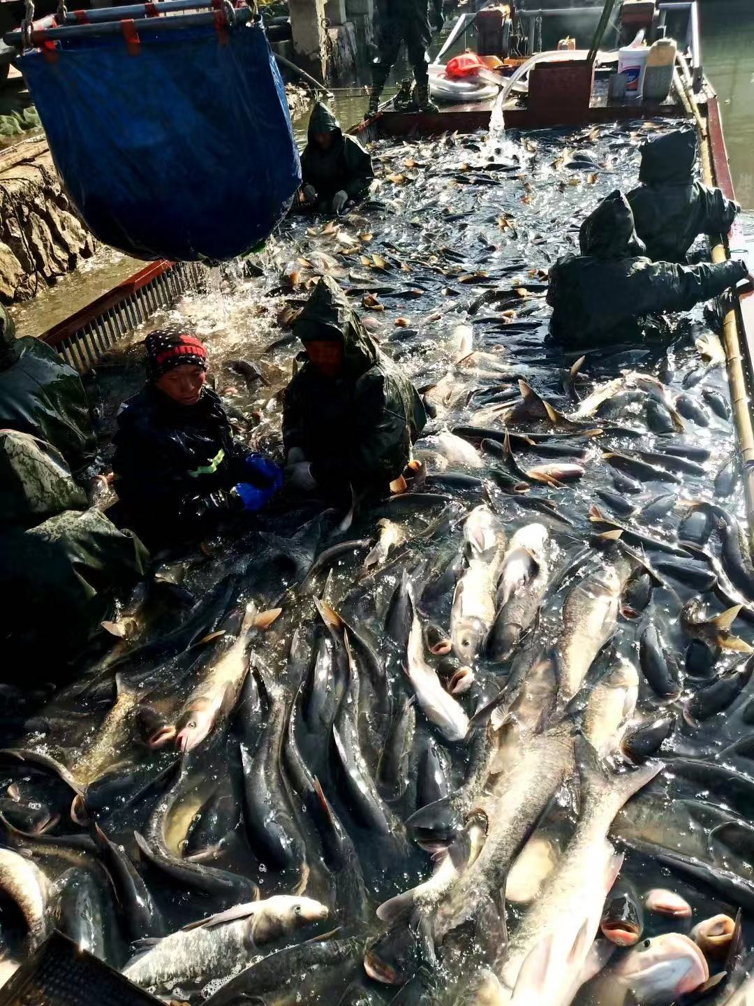 /Upload/Product/a669f95b83be403ea97029dde530bb97.jpg?width=272&height=203&bgcolor=fff