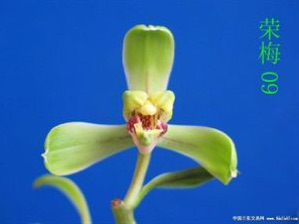 /Upload/Product/a694c213d9e3410a927aca5b576f1e40.png?width=272&height=203&bgcolor=fff