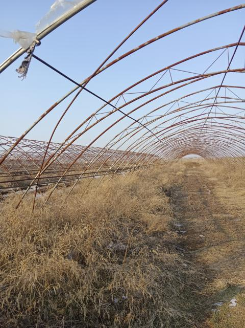 /Upload/Product/b19453045c784989887657119e9cdc2b.png?width=272&height=203&bgcolor=fff