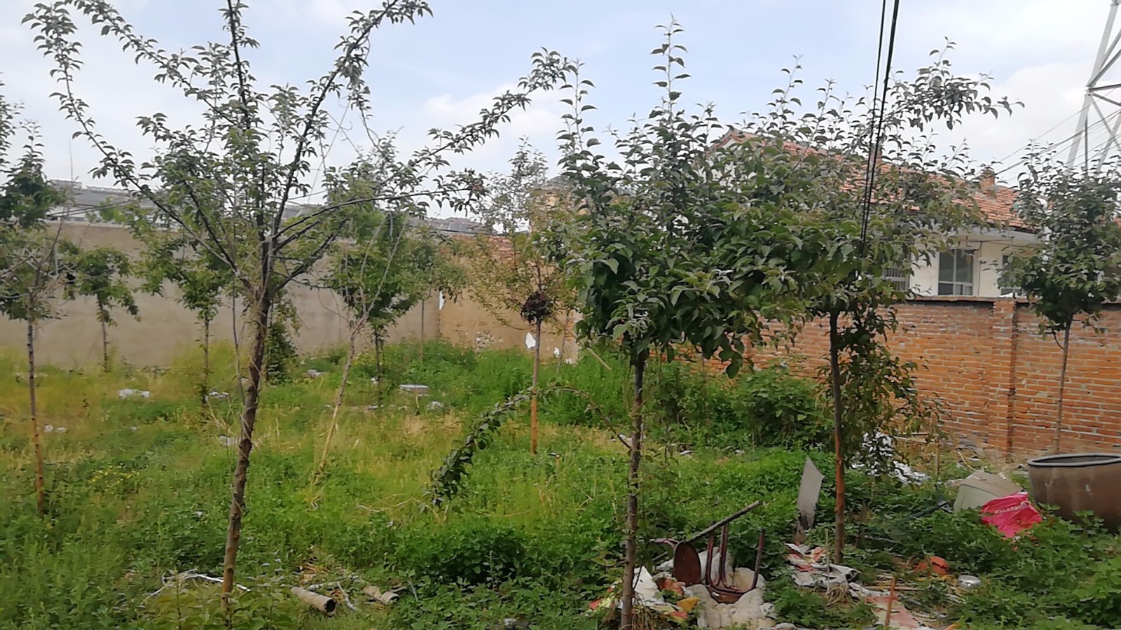 /Upload/Product/b3d3fbf194fb432cb9d6b9e7ad56e8d8.jpg?width=272&height=203&bgcolor=fff