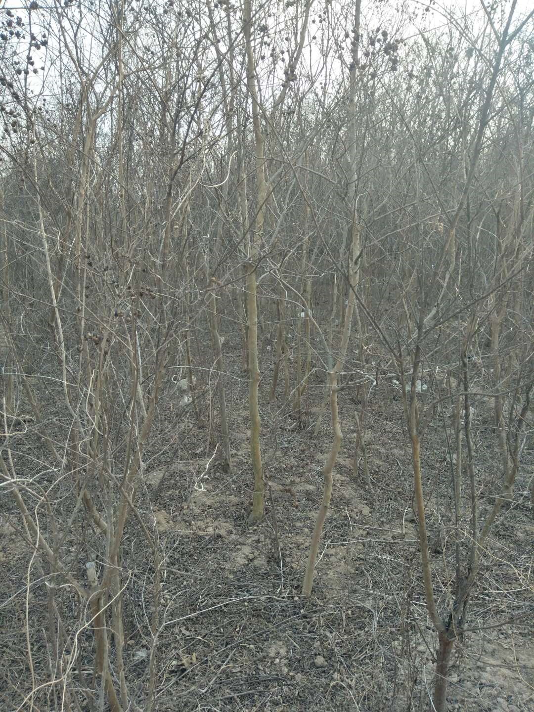 /Upload/Product/b4760994ce194103b3efaa491769c192.jpg?width=272&height=203&bgcolor=fff