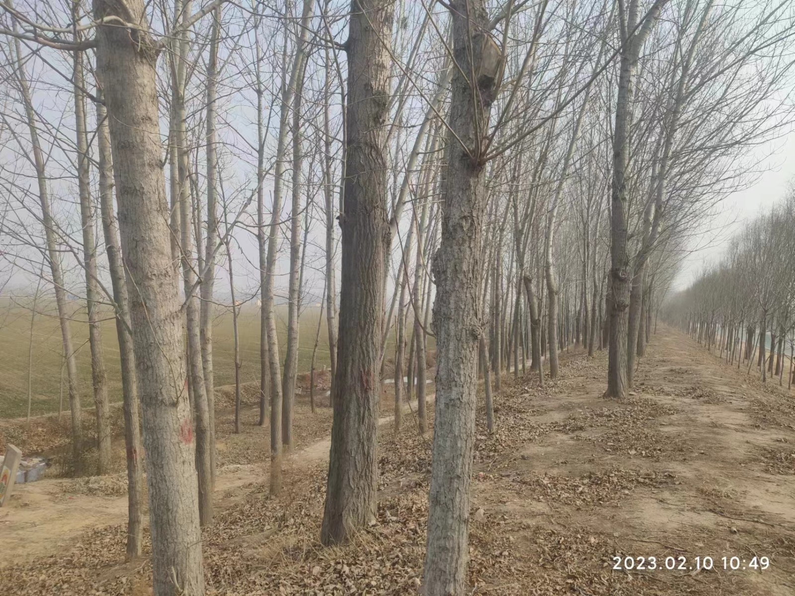 /Upload/Product/b492181e8b794c3f90330d75ebaec5a1.jpg?width=272&height=203&bgcolor=fff