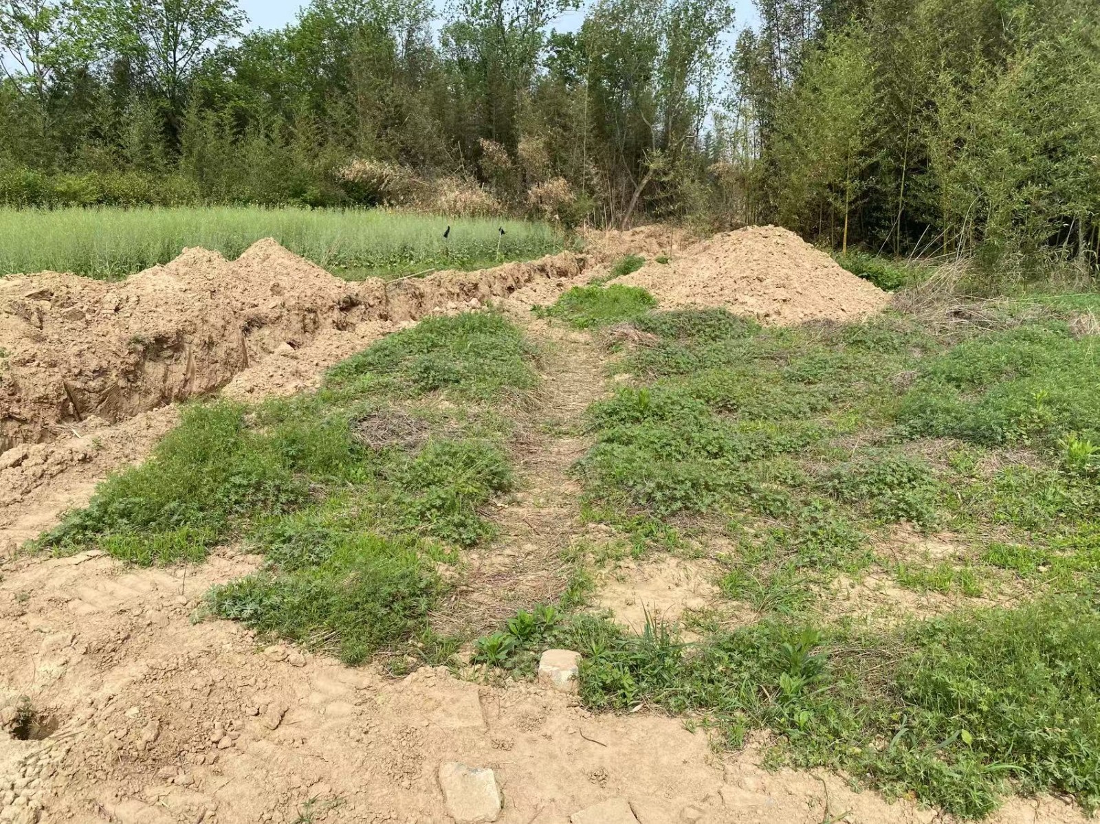 /Upload/Product/b4adb3f5d99844a7af0b06958a79b6b4.jpg?width=272&height=203&bgcolor=fff