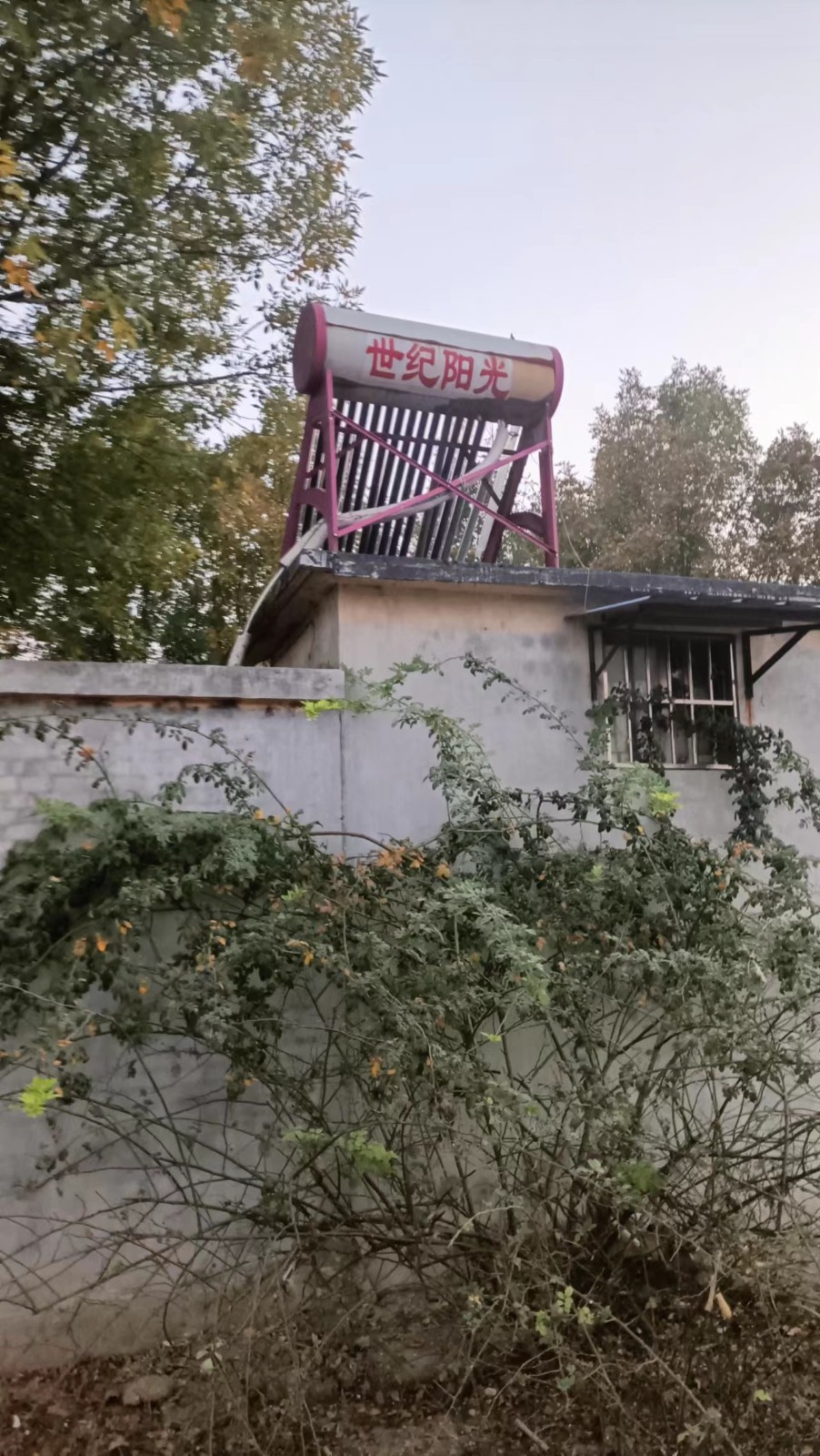 /Upload/Product/bd4214c7235e447b9611cae456b024e5.jpg?width=272&height=203&bgcolor=fff