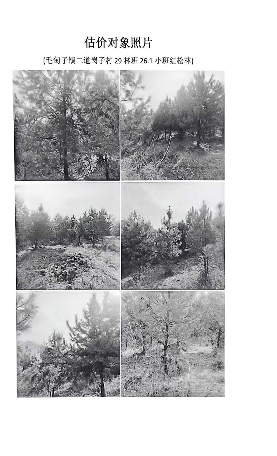 /Upload/Product/bdd1153d355e47a5af4052d3f0251269.jpg?width=200&height=148&bgcolor=fff