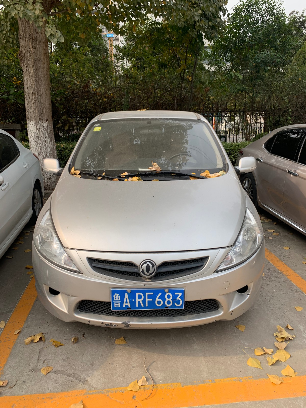 /Upload/Product/bf04d796cb0c4135b954f6fe05a90337.JPG?width=272&height=203&bgcolor=fff