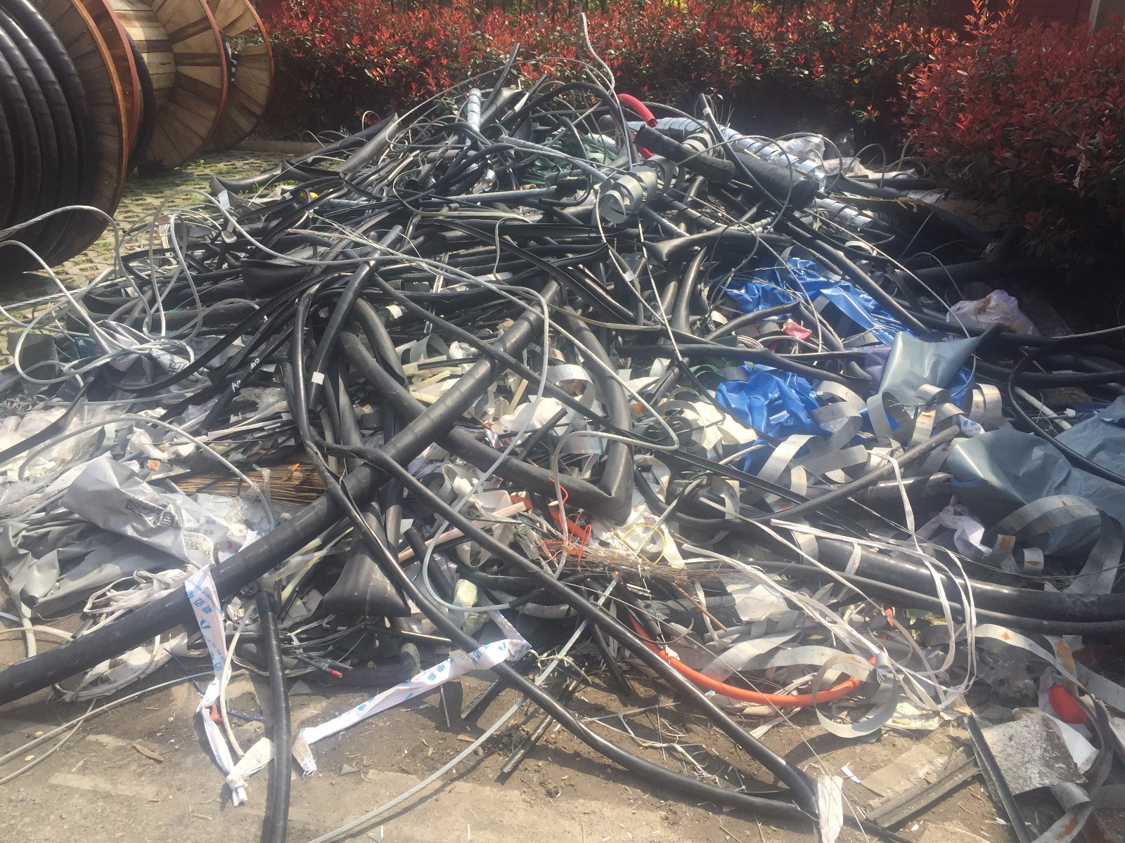 /Upload/Product/c0088a414f704ac69924a585611210e6.JPG?width=272&height=203&bgcolor=fff