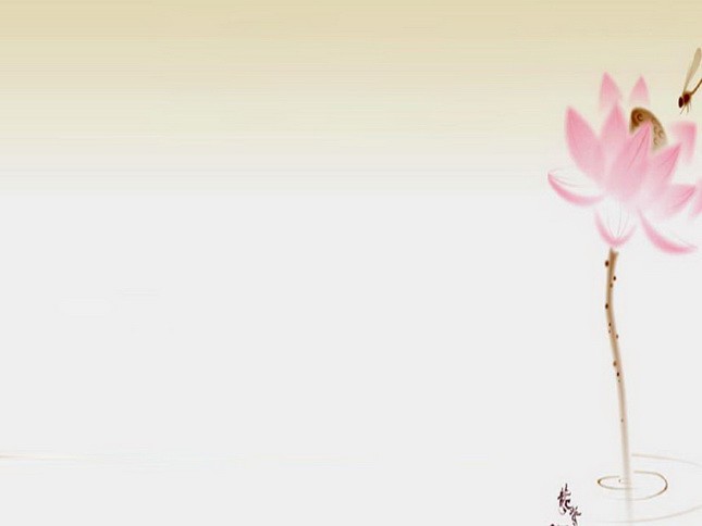 /Upload/Product/c5e558a850e149f8af5e9d1f26a0266c.JPG?width=272&height=203&bgcolor=fff