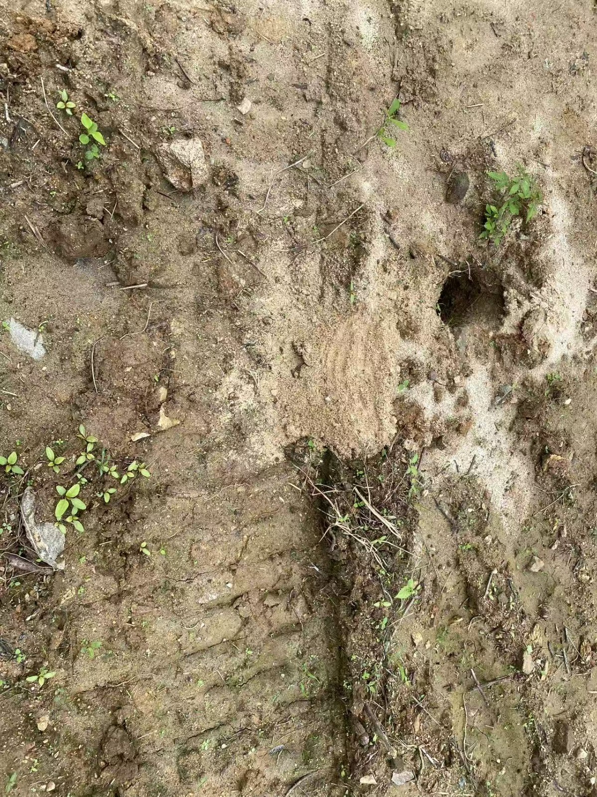 /Upload/Product/c65235508ca74e68a0f97cb2357e3f28.jpg?width=200&height=148&bgcolor=fff