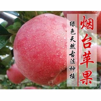 /Upload/Product/c8f541dc3a3645d7a09898d453ead366.jpg?width=272&height=203&bgcolor=fff