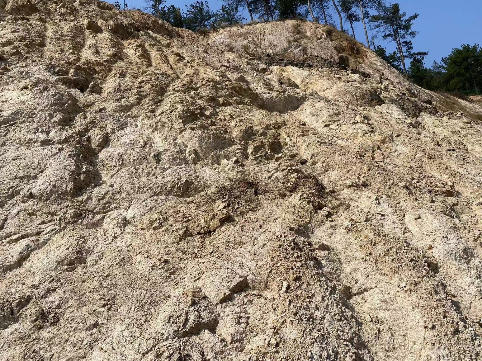 /Upload/Product/cafd44380c9d4d9ebdba56309fa4fa55.jpg?width=272&height=203&bgcolor=fff