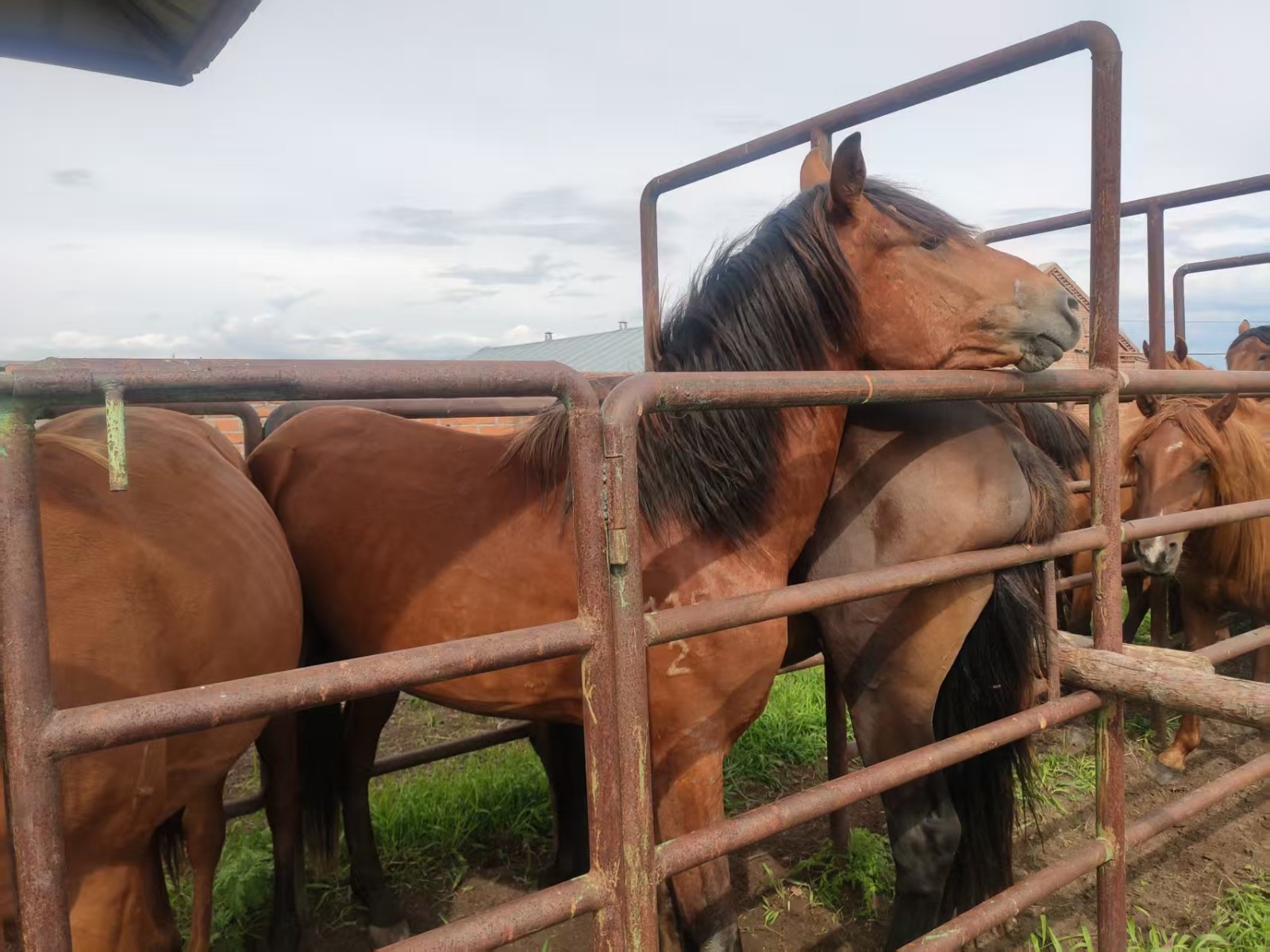 /Upload/Product/cf02ecb02c8d47e2838ff6288cb4c251.jpg?width=272&height=203&bgcolor=fff