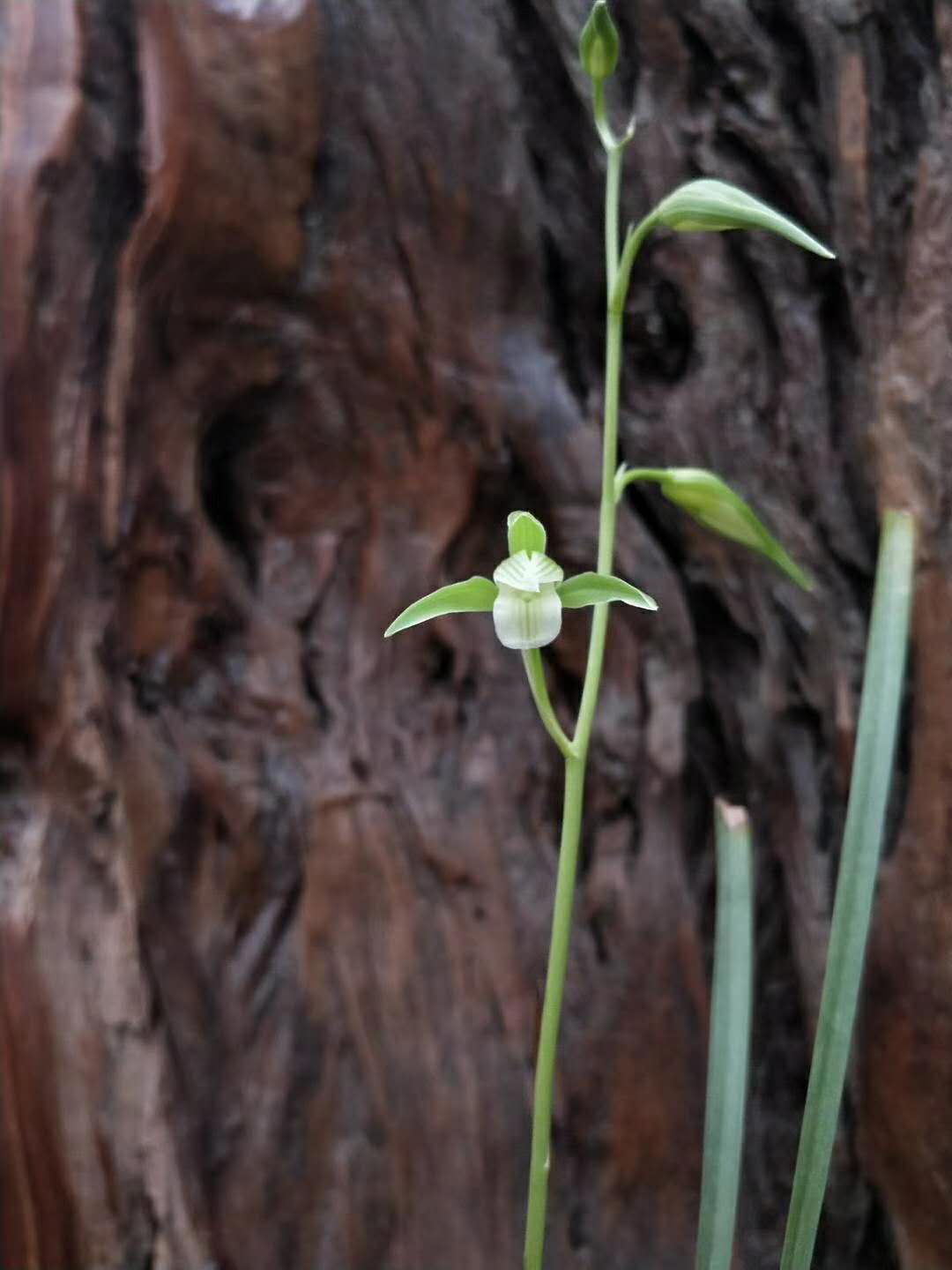 /Upload/Product/d000e6538d334b64bb353fd02e41edb3.png?width=272&height=203&bgcolor=fff