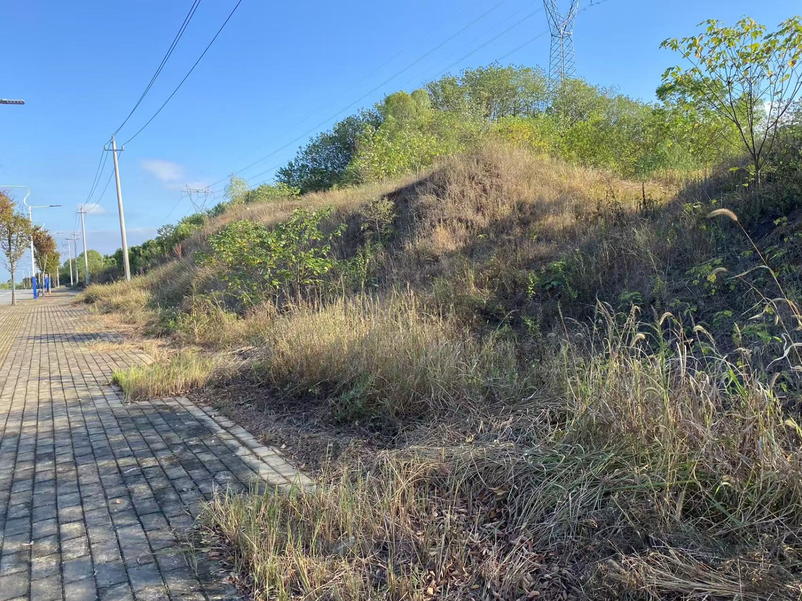 /Upload/Product/d23dda011057447bb652dc67e7144987.jpg?width=272&height=203&bgcolor=fff