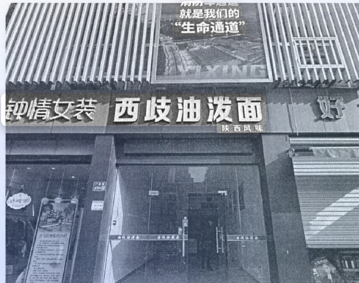 /Upload/Product/d440eec37a6b4cb590f3522f9e806d6a.jpg?width=272&height=203&bgcolor=fff