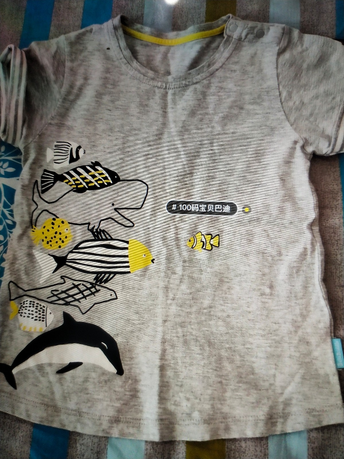 /Upload/Product/d49e9a136a7c45af84eaef88dccab979.jpg?width=200&height=148&bgcolor=fff