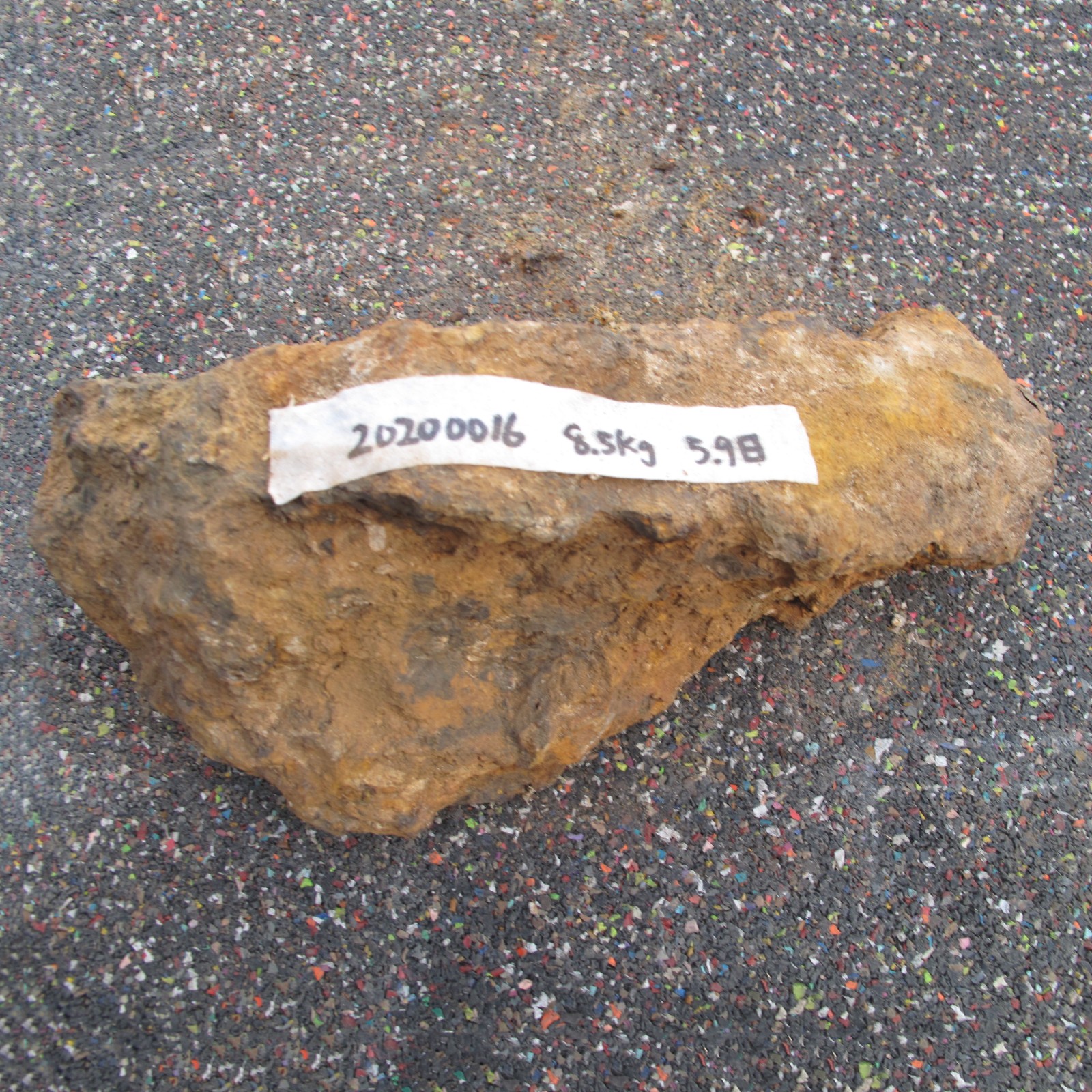 /Upload/Product/d6a45d3b9b6f4b21bd7d0f303419ca63.JPG?width=272&height=203&bgcolor=fff