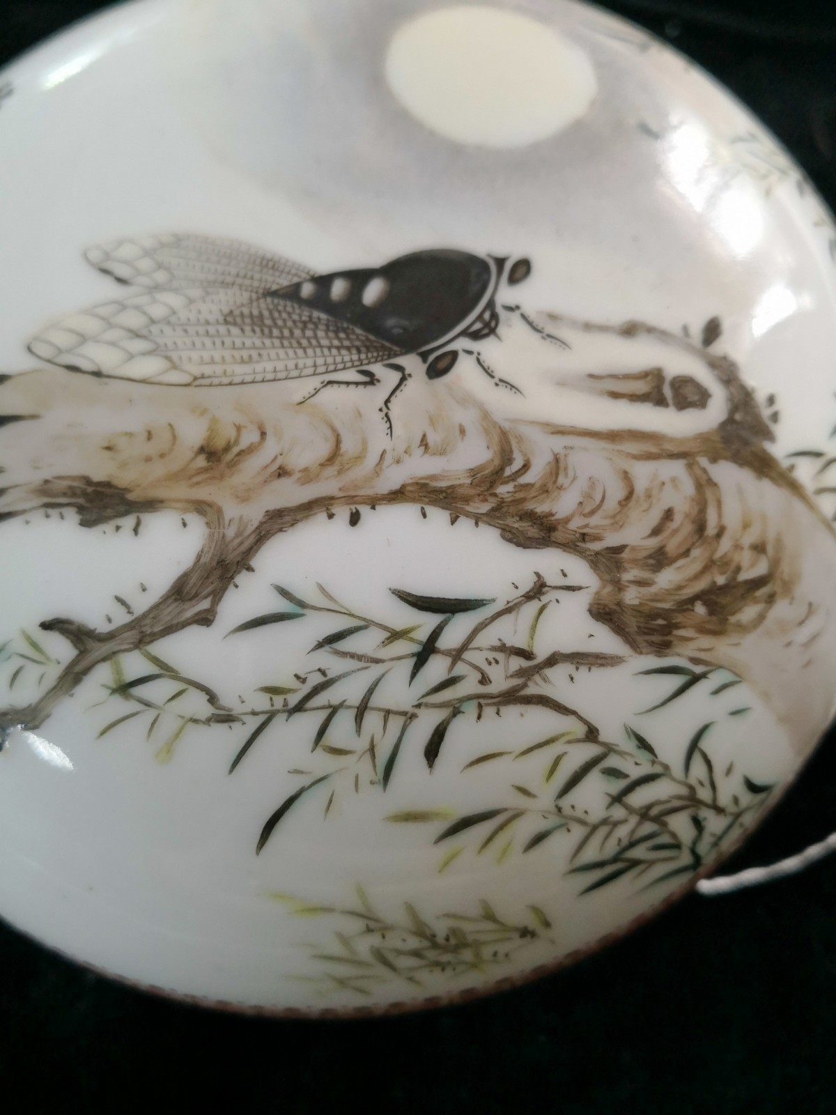 /Upload/Product/d7a748ee5f2e477ca7f7556381c2d7d5.jpg?width=200&height=1483&bgcolor=fff