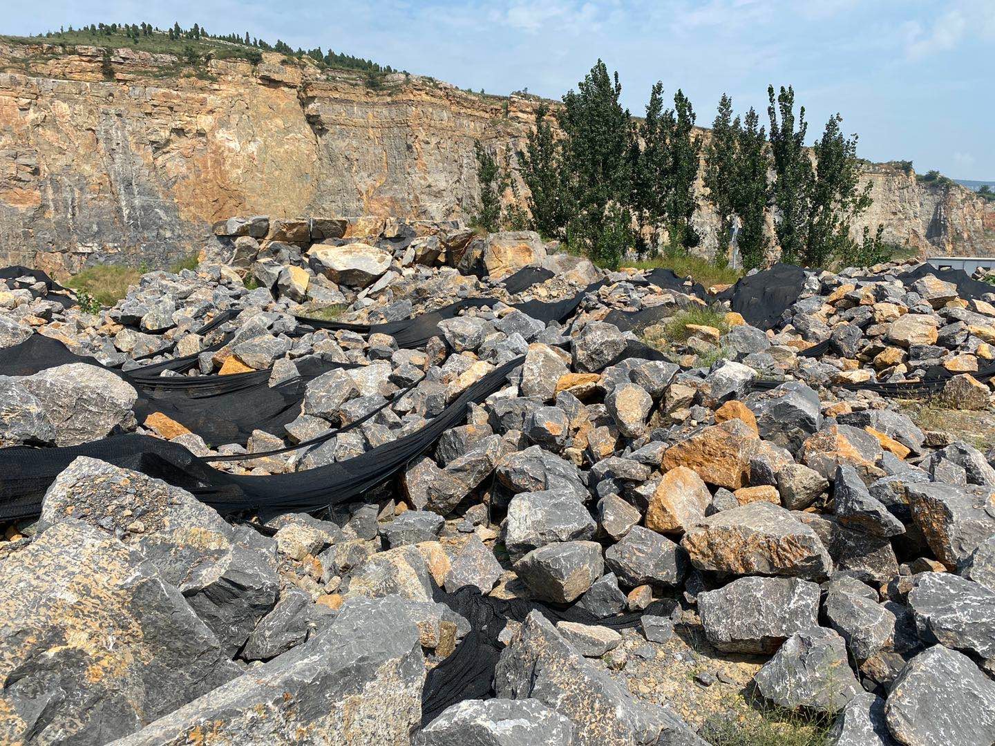 /Upload/Product/d7f5d9a792834c9092eb298e869f6261.jpg?width=272&height=203&bgcolor=fff