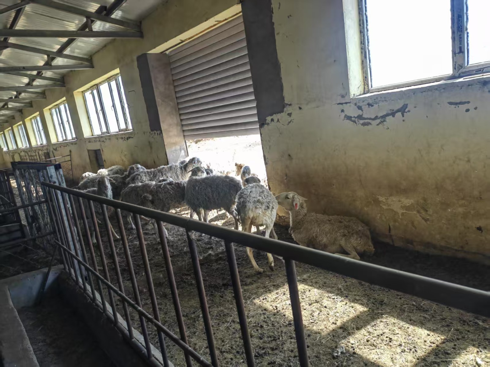 /Upload/Product/d88e68e37dff46a5a8c51698dac0e4aa.jpg?width=272&height=203&bgcolor=fff