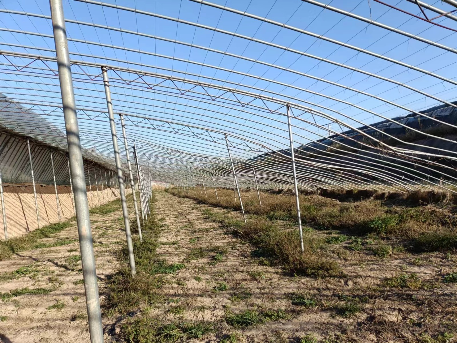 /Upload/Product/ddd724b1edc84c2788b57aa46b0f8e3c.jpg?width=272&height=203&bgcolor=fff