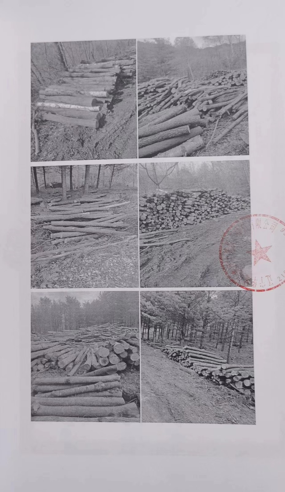 /Upload/Product/e18c5212d02b422cbfa481fb81801af8.jpg?width=272&height=203&bgcolor=fff