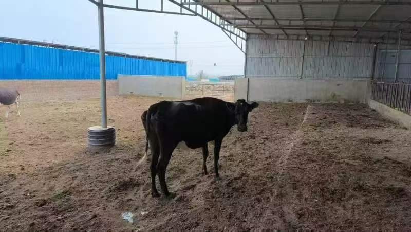 /Upload/Product/e2b7a26b92024b2b8ddec3d9c3a276ff.jpg?width=272&height=203&bgcolor=fff