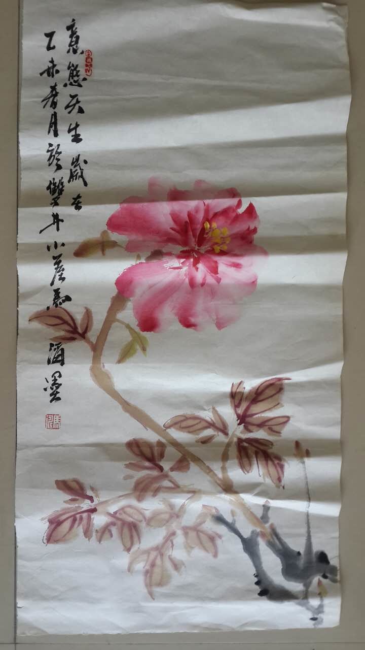 /Upload/Product/e2c7b77ef0bb49fe80e376f69d0b1b93.jpg?width=272&height=203&bgcolor=fff