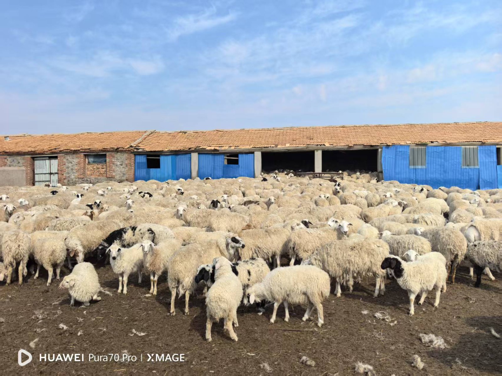 /Upload/Product/e6a6a801f04e456da9e4311ccfb3fe56.jpg?width=272&height=203&bgcolor=fff