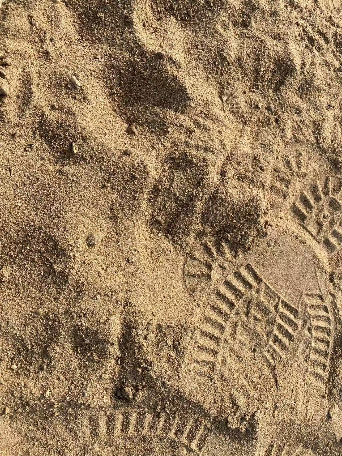 /Upload/Product/eb6569b357674cf8802f8f67172c80bd.jpg?width=272&height=203&bgcolor=fff