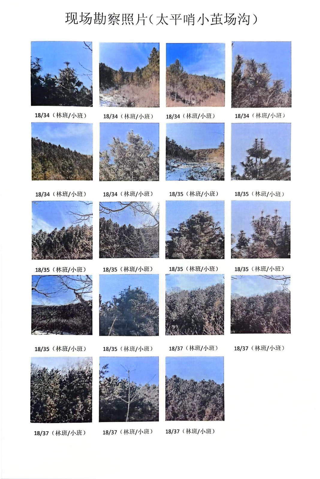 /Upload/Product/ed70d54437fc430699e12597e1b2df2e.jpg?width=272&height=203&bgcolor=fff