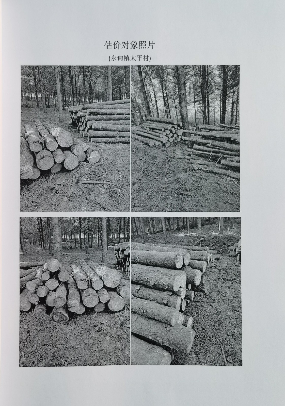 /Upload/Product/f45deec29e0a4a96ae5b1c0e53a5c36b.jpg?width=272&height=203&bgcolor=fff