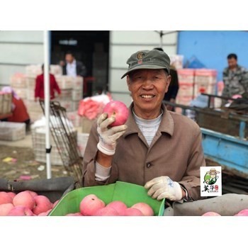 /Upload/Product/f493079ab22c4df78851441966bedbb7.jpg?width=272&height=203&bgcolor=fff