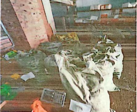 /Upload/Product/f882c1211a5540529344b7c72b2100dc.jpg?width=200&height=148&bgcolor=fff