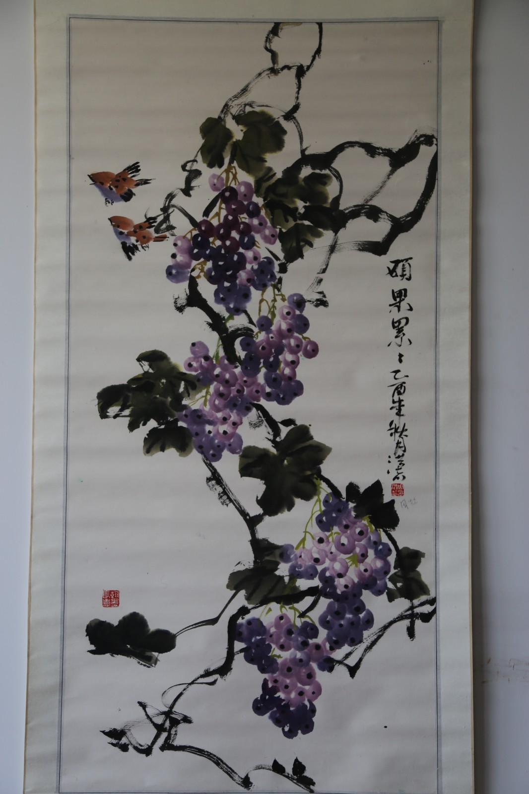 /Upload/Product/fc65810a86d6497b9d947eb5052869cd.JPG?width=272&height=203&bgcolor=fff