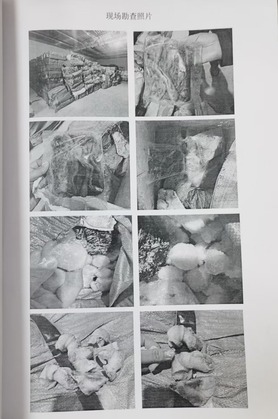 /Upload/Product/fcfecd08d909478bbf149022be993213.jpg?width=272&height=203&bgcolor=fff