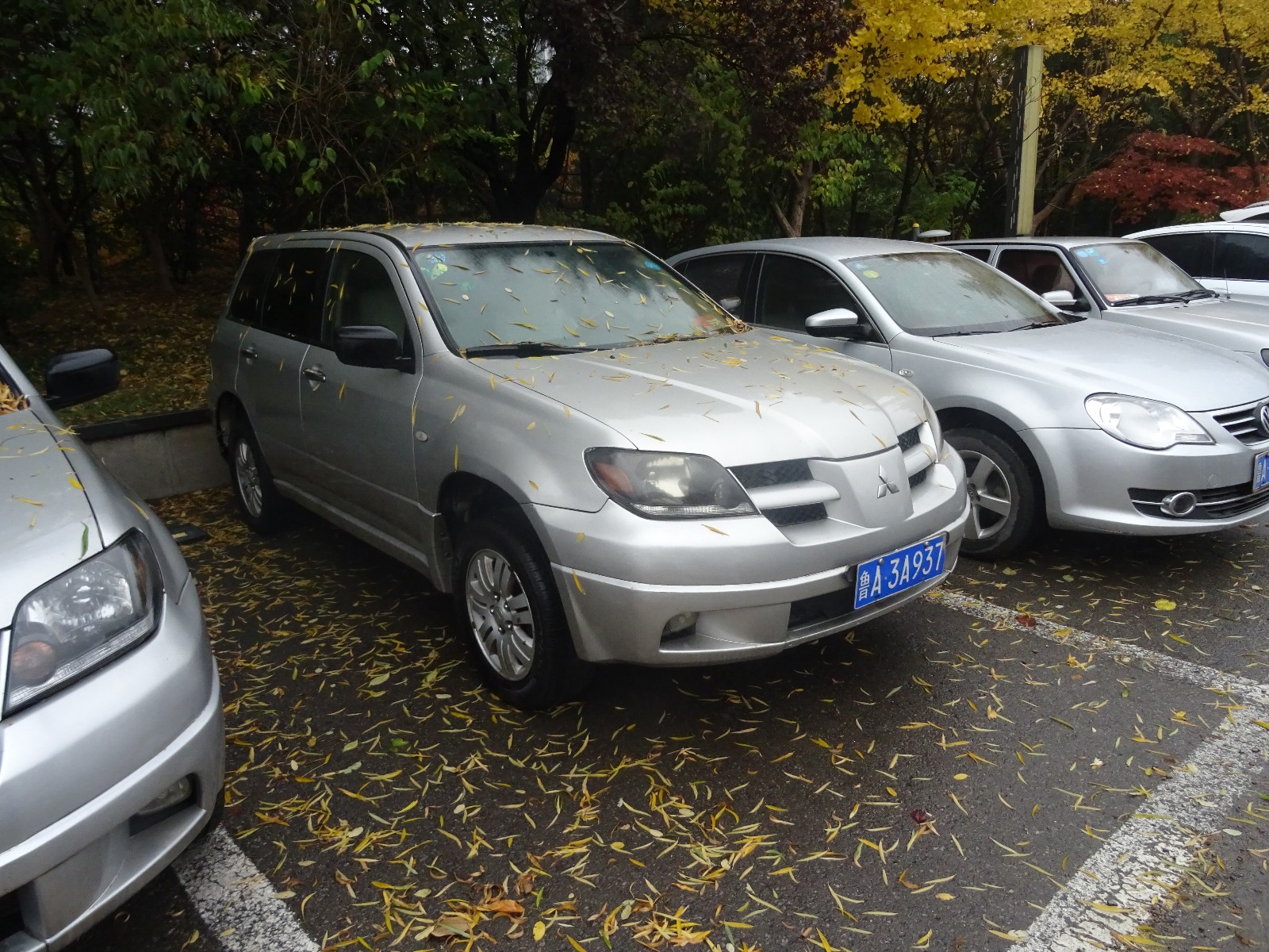 /Upload/Product/fda69b1975f54296bf77cf62b8e67055.JPG?width=272&height=203&bgcolor=fff