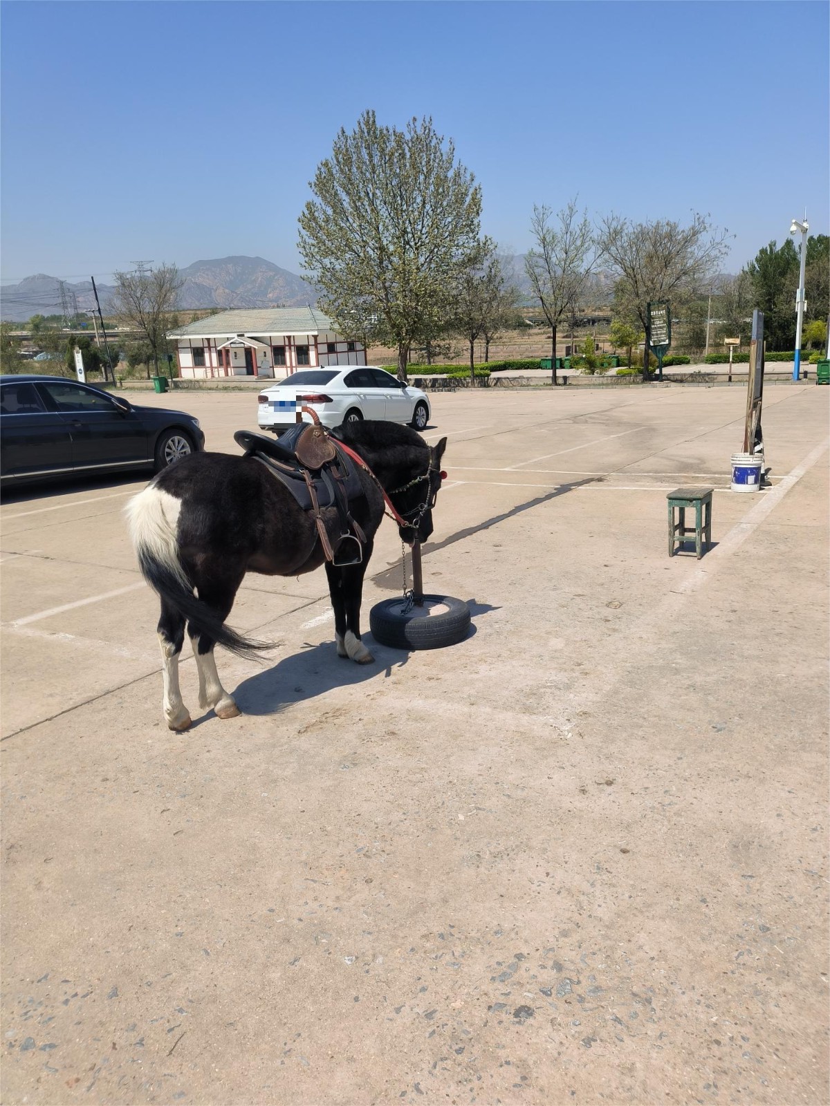 /Upload/Product/fe1c66b1f0fe413bbb867c2d5545a6ca.jpg?width=272&height=203&bgcolor=fff