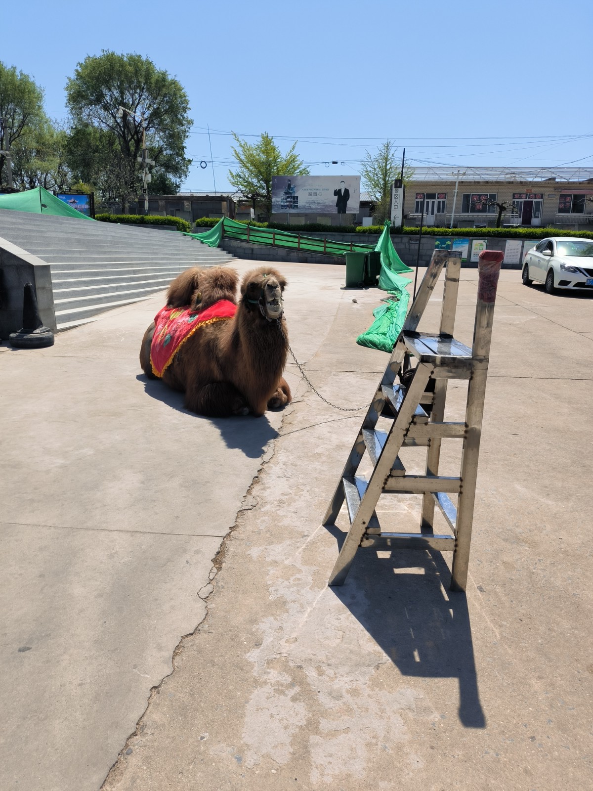 /Upload/Product/fe92adb369be430d9a345ab338cdf14f.jpg?width=272&height=203&bgcolor=fff