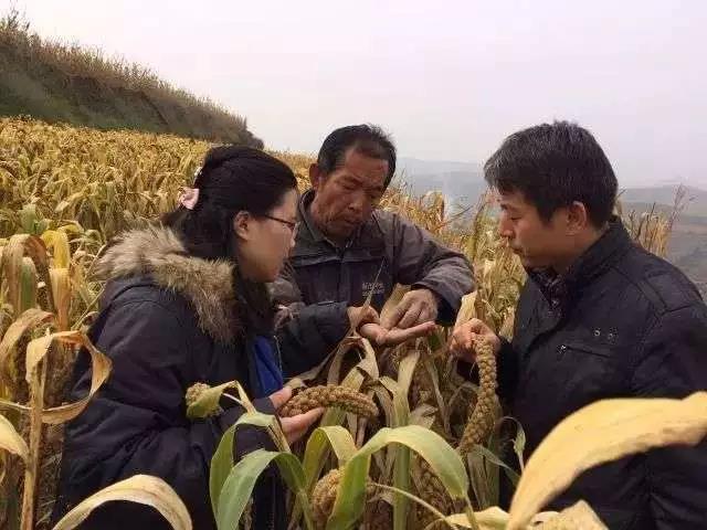 微信图片_20181009133925.jpg