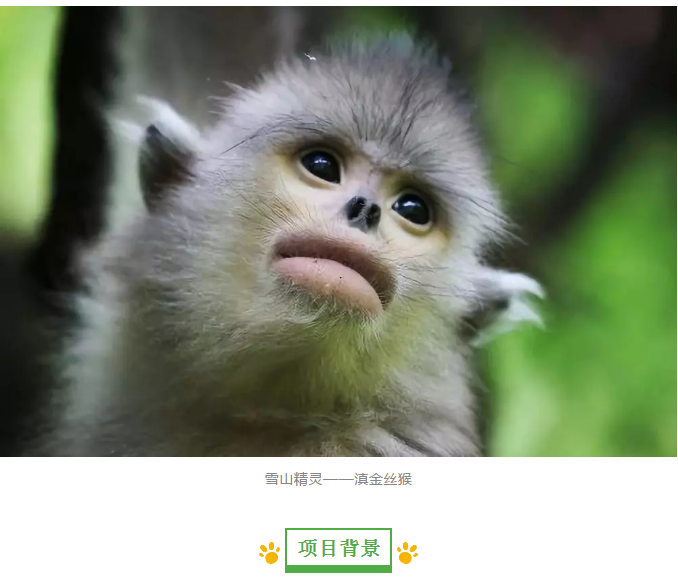 未命名1541724053.png